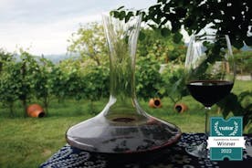 Full Day Private Wine Tour in Kakheti Region with Lunch and 3 Wine Tastings