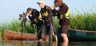 BIRDWATCH - Premium guided canoe tour at Cape Vente, Nemunas Delta Regional Park