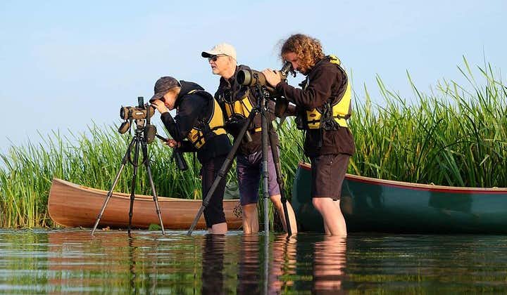 Vente Cape Guided Birdwatching Canoe Tour in Lithuania