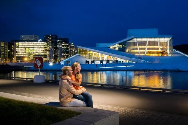 Oslo: Private Half-Day Sightseeing Tour 