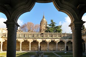 Speciale privétour voor gezinnen met kinderen in Salamanca