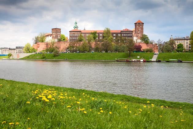Cracovie : visite guidée de la colline royale du Wawel avec un billet d'entrée