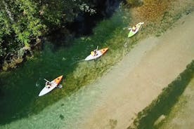 Safari kayak on Bunica river: BBQ Lunch & wildlife sightings 
