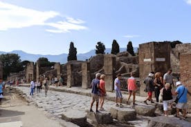 2 hours Pompeii Tour with local historian - ticket included