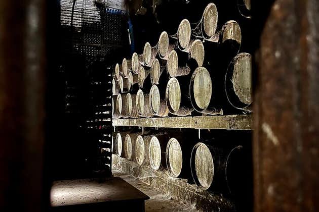 Dégustation de vins 2 visites privées de vignobles dans la péninsule de Setubal