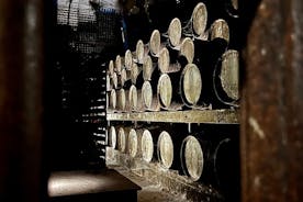 Vinsmagning 2 private tour vingårde på Setubal-halvøen