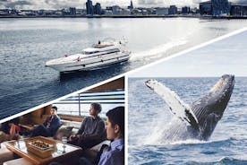 Observação de baleias e cruzeiro de iate com golfinhos