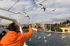 2-timers Bosporoscruise i Istanbul med guide
