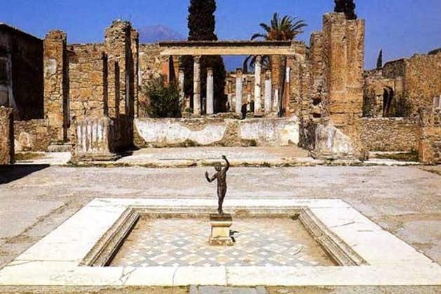 Visite privée d'une demi-journée des ruines de Pompéi