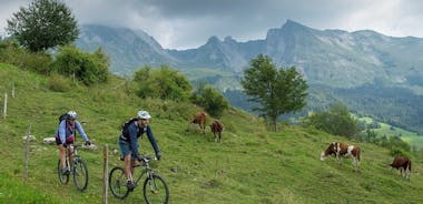 Electric Mountain Biking around Annecy