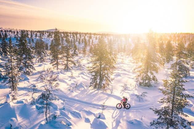 Saariselkä의 개인 전기 지방 자전거 투어