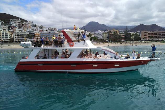 Tenerife Los Cristianos: balene e delfini eco-yacht e sosta per nuotare