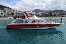 Tenerife Los Cristianos: walvis- en dolfijn-ecojacht en zwemstop