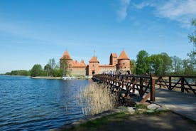 Privat rundtur i Trakai från Vilnius