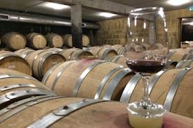 Cotes du Rhone Wine Tour (9:00 am to 5:15 pm) - Small Group Tour from Lyon