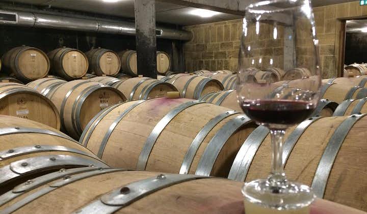 Cotes du Rhone Wine Tour (9:00 am to 5:15 pm) - Small Group Tour from Lyon