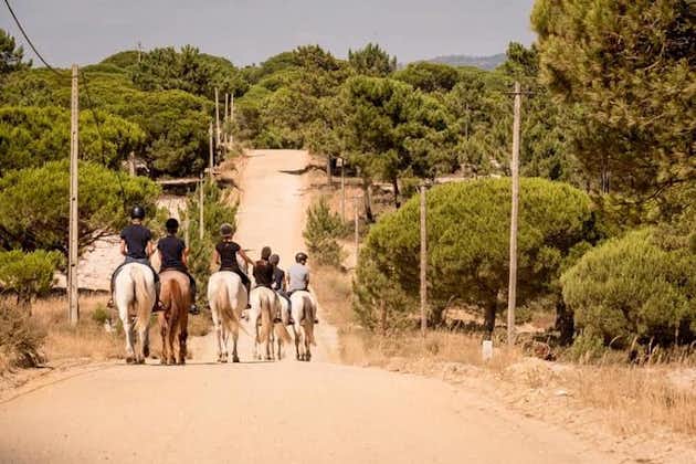 Tour privato dell'Alentejo con pranzo e giro a cavallo lungo la spiaggia di Melides