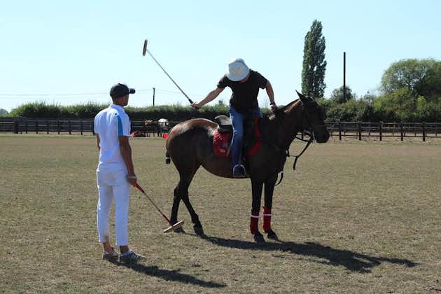 Horse & Polo in Windsor, UK