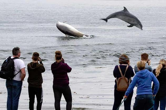 Legendario recorrido por la Isla Negra desde Inverness o Invergordon