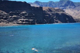 Day Tour in North of Gran Canaria with Wine Tasting