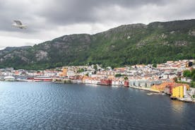 Privater Transfer von Oslo nach Bergen mit 2-stündigem Stopp