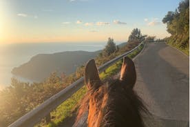 Hestetur på kysten av Monterosso al Mare Cinque Terre