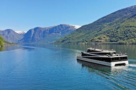 Tour guidato privato di un giorno a Flåm - incl Premium Nærøyfjord Cruise e Flåm Railway
