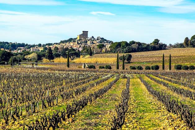 Châteauneuf Du Pape intensieve wijngaard & fijne wijnervaring