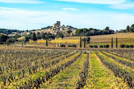 Châteauneuf Du Pape intensiv vingård och fin vinupplevelse