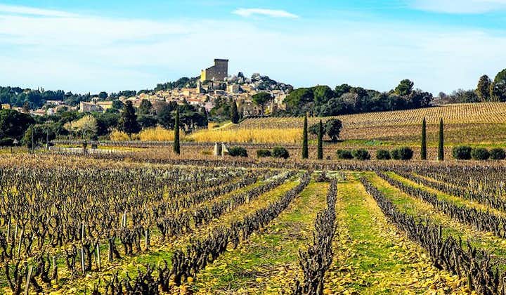 Châteauneuf Du Pape intensive vineyard & fine wine experience