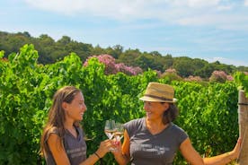 Privat dag i Saint-Tropez-bugtens vinmarker