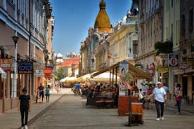 3-timers kulturell tur på Oradea