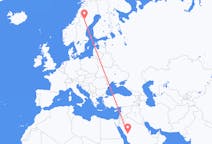 Flights from Medina, Saudi Arabia to Vilhelmina, Sweden