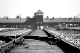 Auschwitz-Birkenau: Entry Ticket with Guided Tour