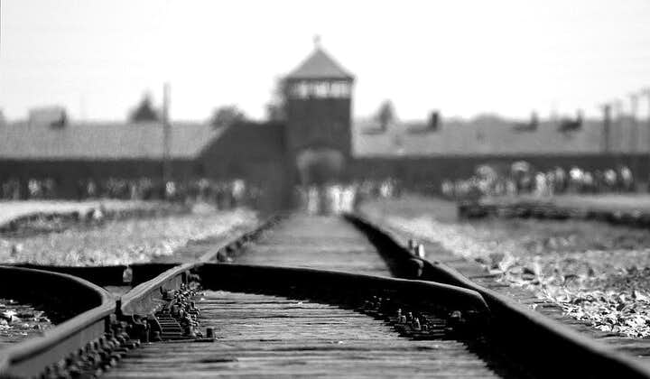 Auschwitz-Birkenau: Entry Ticket with Guided Tour