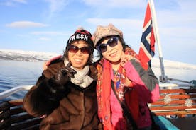 From Tromso all-inclusive Bird and Arctic Wildlife Sightseeing cruise