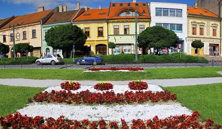 Slovakia: Presov City Tour