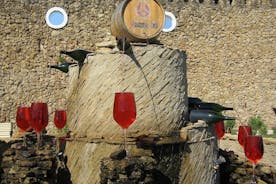 GRUPPO - Azienda vinicola Milestii Mici, Transnistria e fortezza di Bender