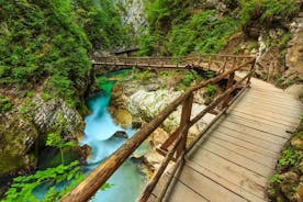 From Bled: Self-Guided E-Bike Tour of the Vintgar Gorge
