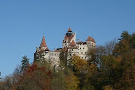 Castelo de Bran com santuário de ursos opcional de Brasov