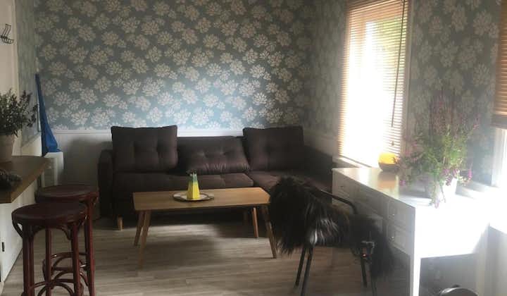 Lovely 1 Bedroom Apartment in Rakvere with Sleeping for 4