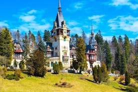 Medieval Town of Brasov Day Tour with Visit to Peles Castle and Dracula's Castle