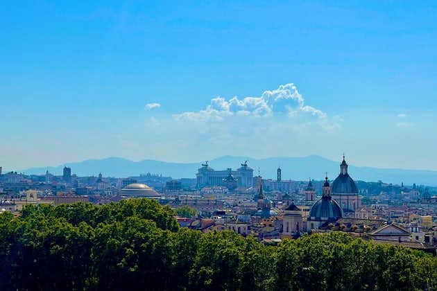  Roma på en dag privat tur | Det beste av Roma og hotellhenting