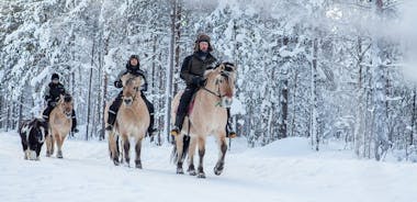 ロヴァニエミのアプッカ リゾートの馬に乗って雪に覆われた自然