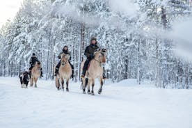 Verschneite Natur zu Pferd im Apukka Resort, Rovaniemi