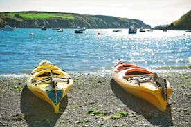 Guided Coastal and Island Hopping - Sea Kayaking in Galway