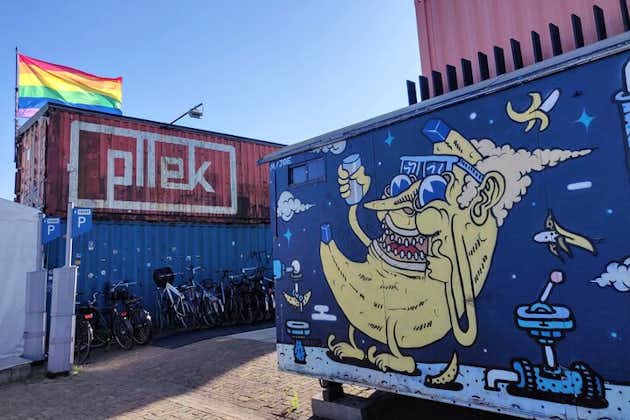 Visite guidée parmi les arts de la rue et les lieux hippies d'Amsterdam Noord