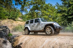 Rhodes Self Drive 4x4 Offroad Adventure with Gourmet Lunch