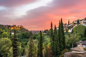 Granada: zonsondergangtour per Segway