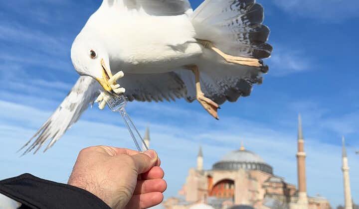 ISTANBUL BEST : Iconic Landmarks FullDay Private Guided City Tour
